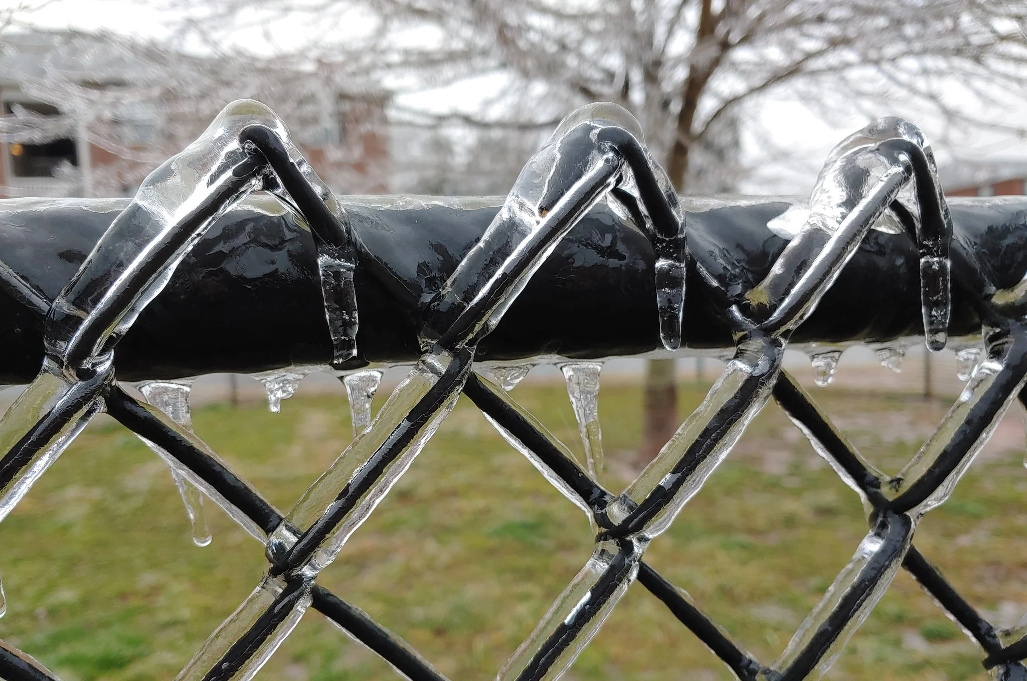(Dennis Mersereau) Icing ice accretion freezing rain fence