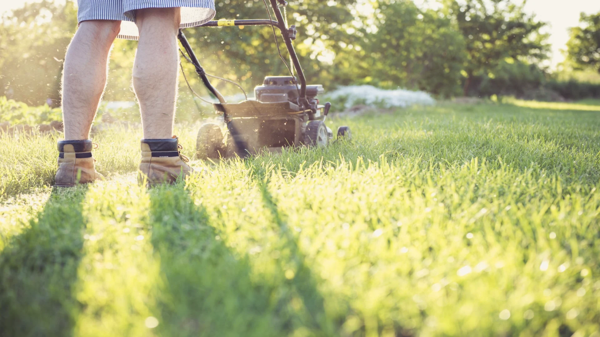Managing your yard in early spring: Best practices