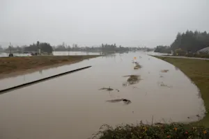 New flood worries arise in B.C. as more heavy rain expected with inbound atmospheric river