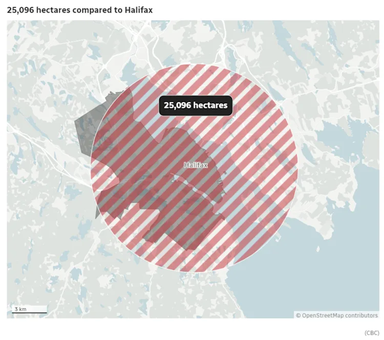 Nova Scotia saw its most devastating wildfire season on record in 2023 ...