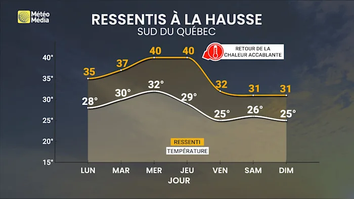 CANICULE 3