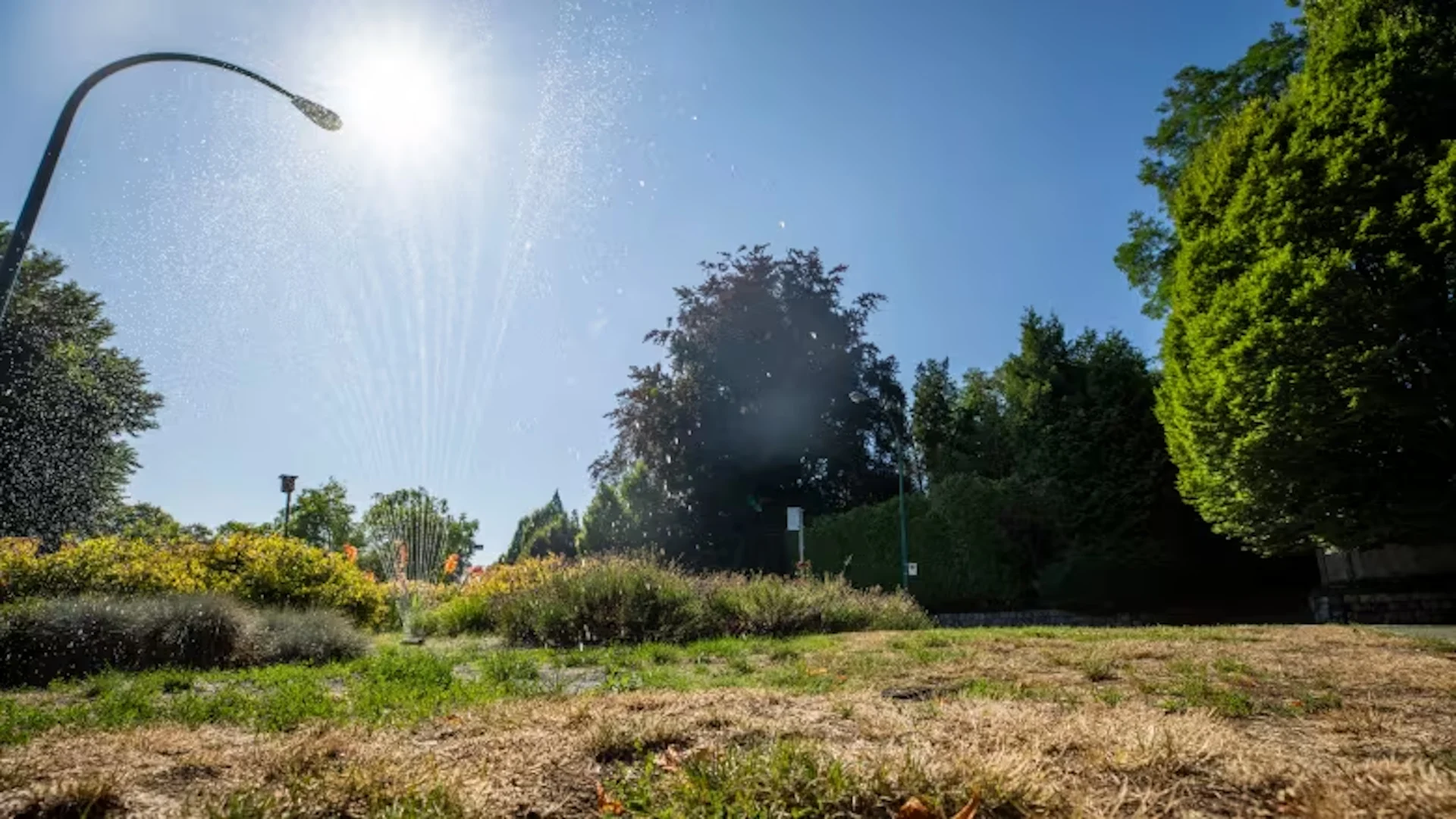 Lawn watering restrictions for Metro Vancouver set to run until mid-October
