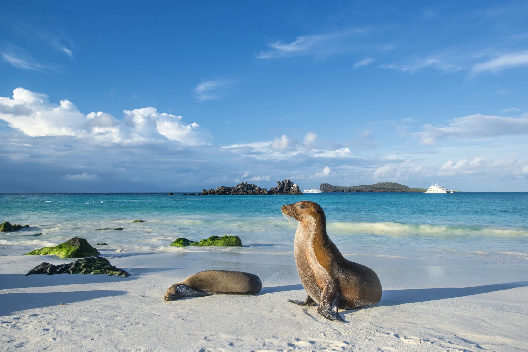 Protected areas around Galapagos islands expanded by Ecuador government