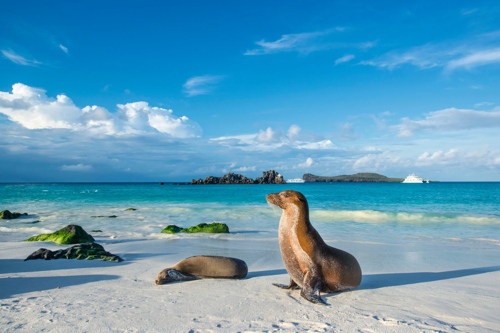 Protected areas around Galapagos islands expanded by Ecuador government