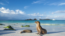 Protected areas around Galapagos islands expanded by Ecuador government