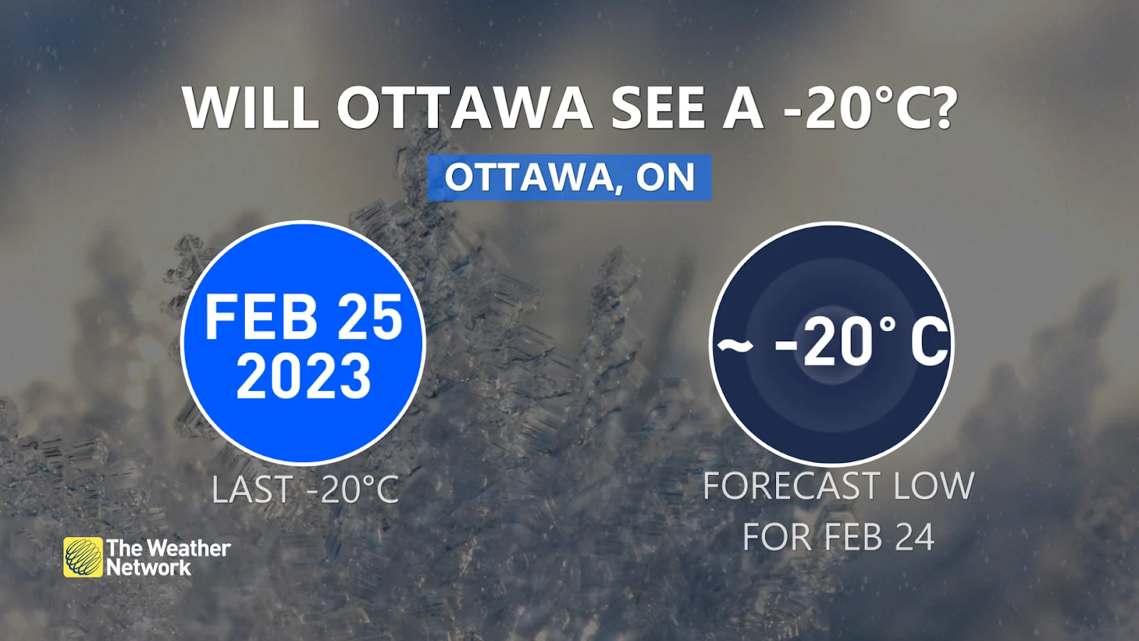 Ottawa maybe sees -20 graphic Feb 21 2024