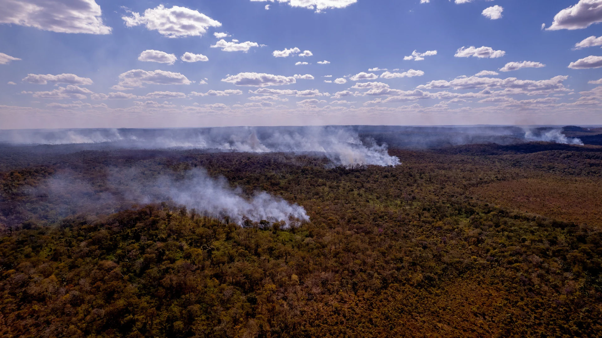 Amazon wildfires in in the municipality of Campinápolis, State of Mato Grosso, Brazil/Jacqueline Lisboa/WWF-Brazil