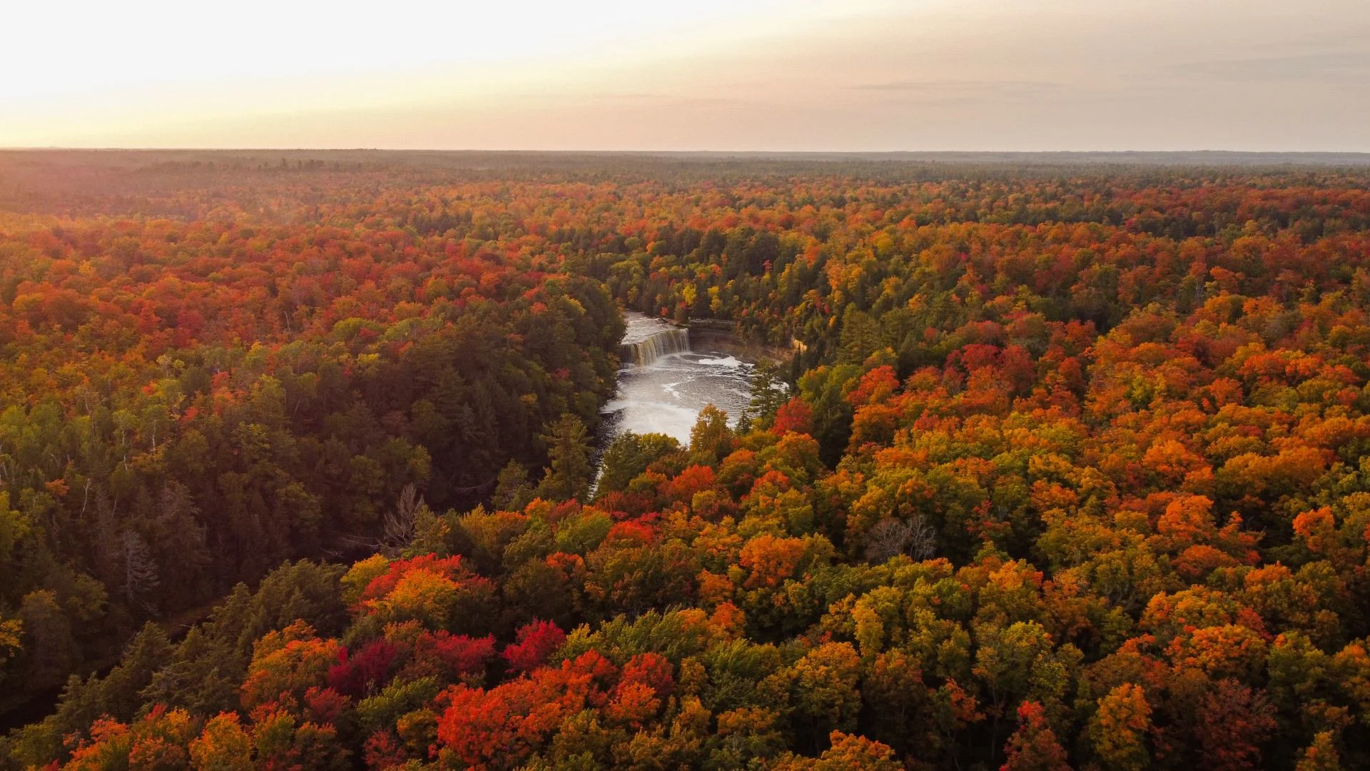 Voici les facteurs qui peuvent influencer les couleurs d'automne