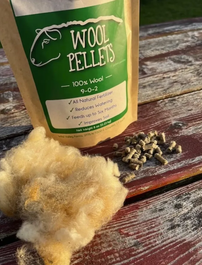 CBC: Wool pellets are made from raw wool that's chopped into small pieces and compressed into pellets similar in size to wood pellets. (Ruth Mathewson)