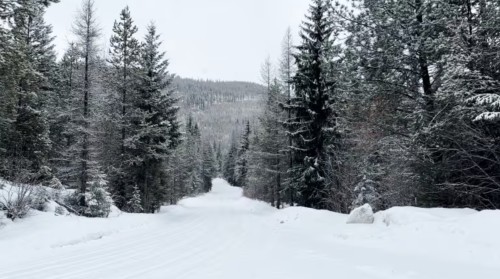 Avalanche warning issued 2 B.C. highways closed amid heavy snow