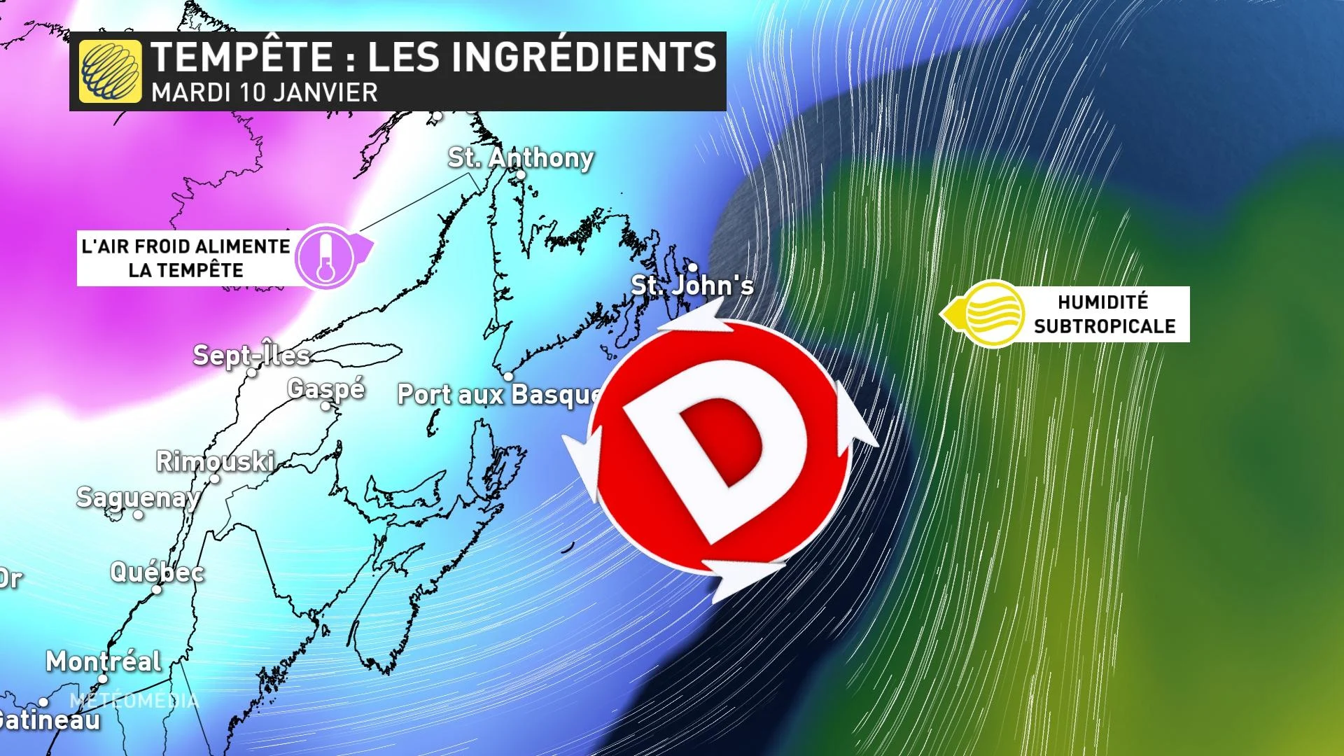 Les ingrédients