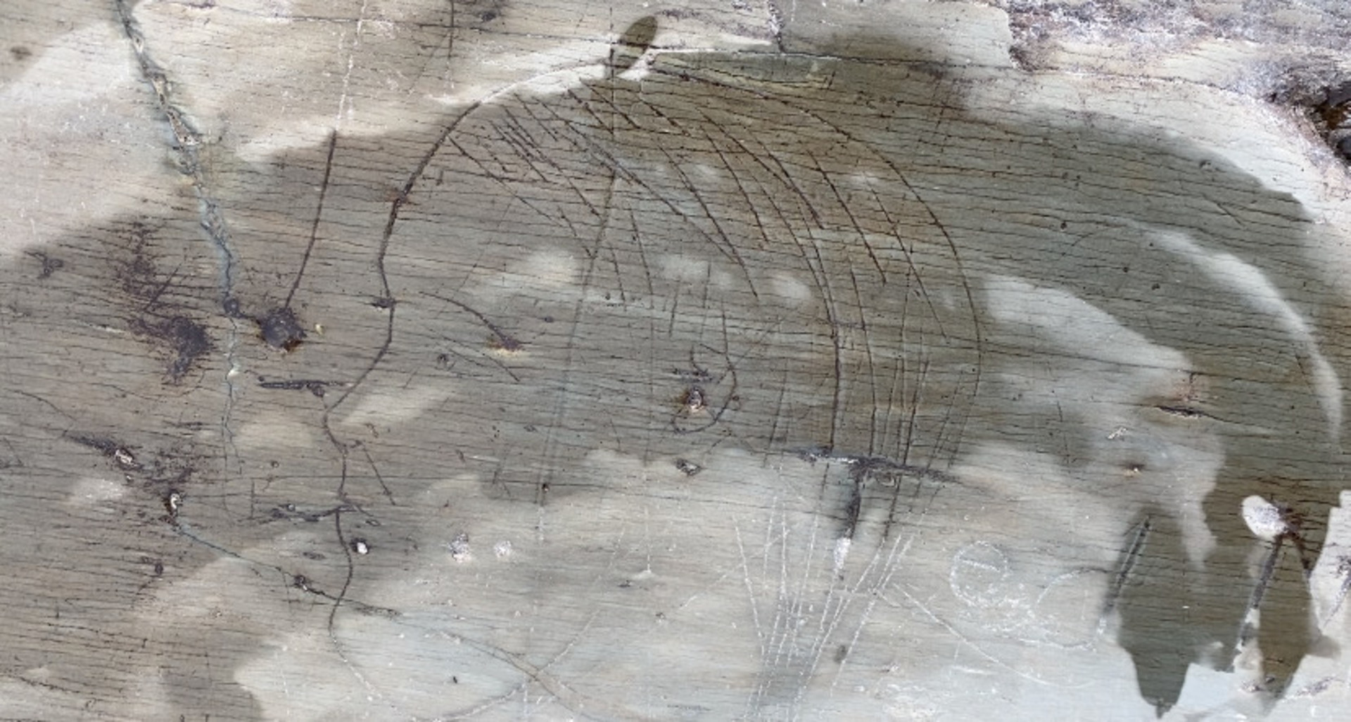Nathan Coleman: Petroglyph at Kejimkujik historic site (Nathan Coleman/The Weather Network)