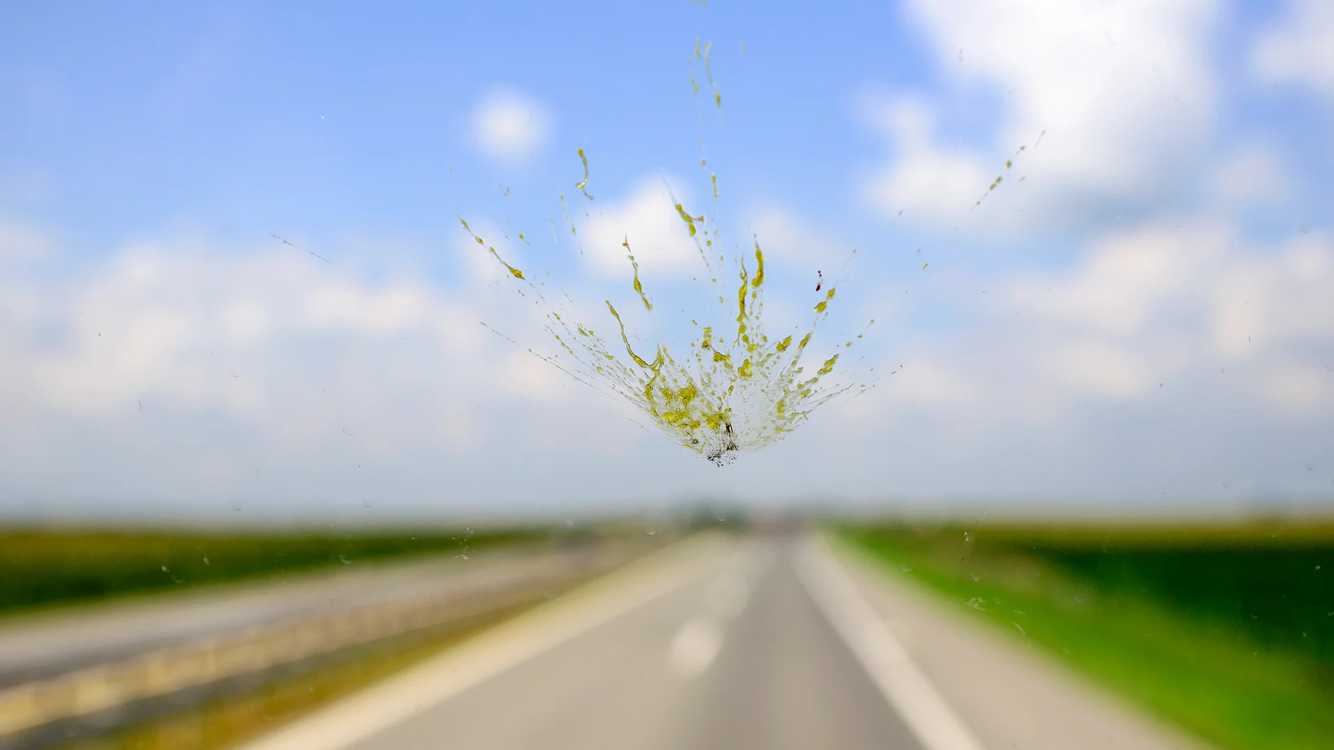 Fewer dead bugs on your windshield is actually a bad sign for insects