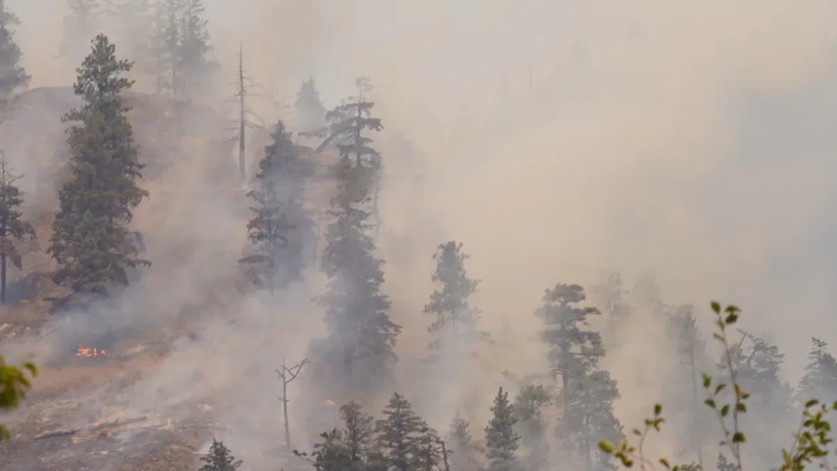 keremeos-creek-wildfire-bc-aug-2-2022/Tom Popyk/CBC