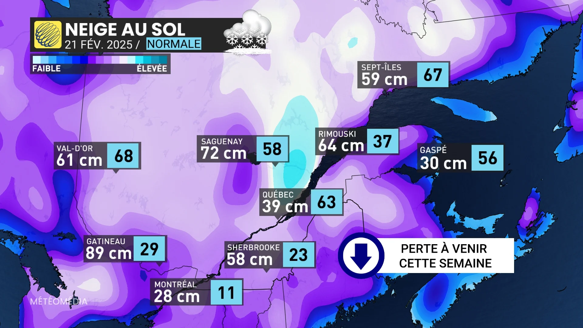 COUVERT1