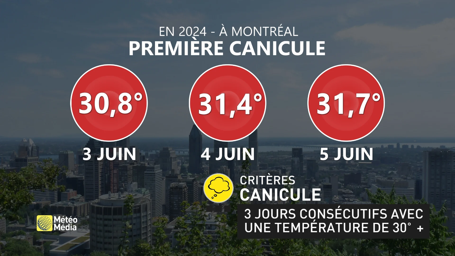 CANICULE2