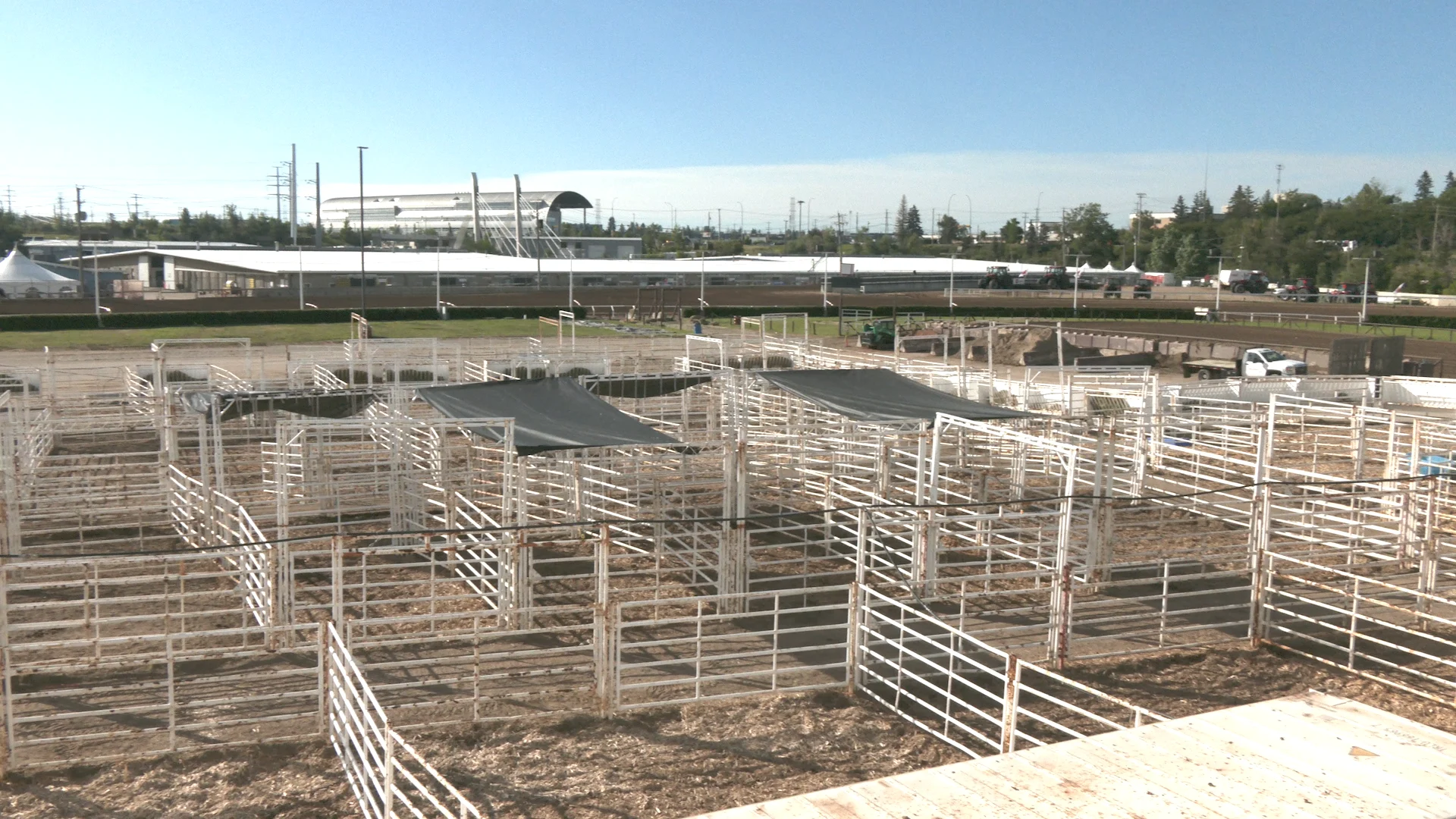 Holding pens/Connor O'Donovan/TWN