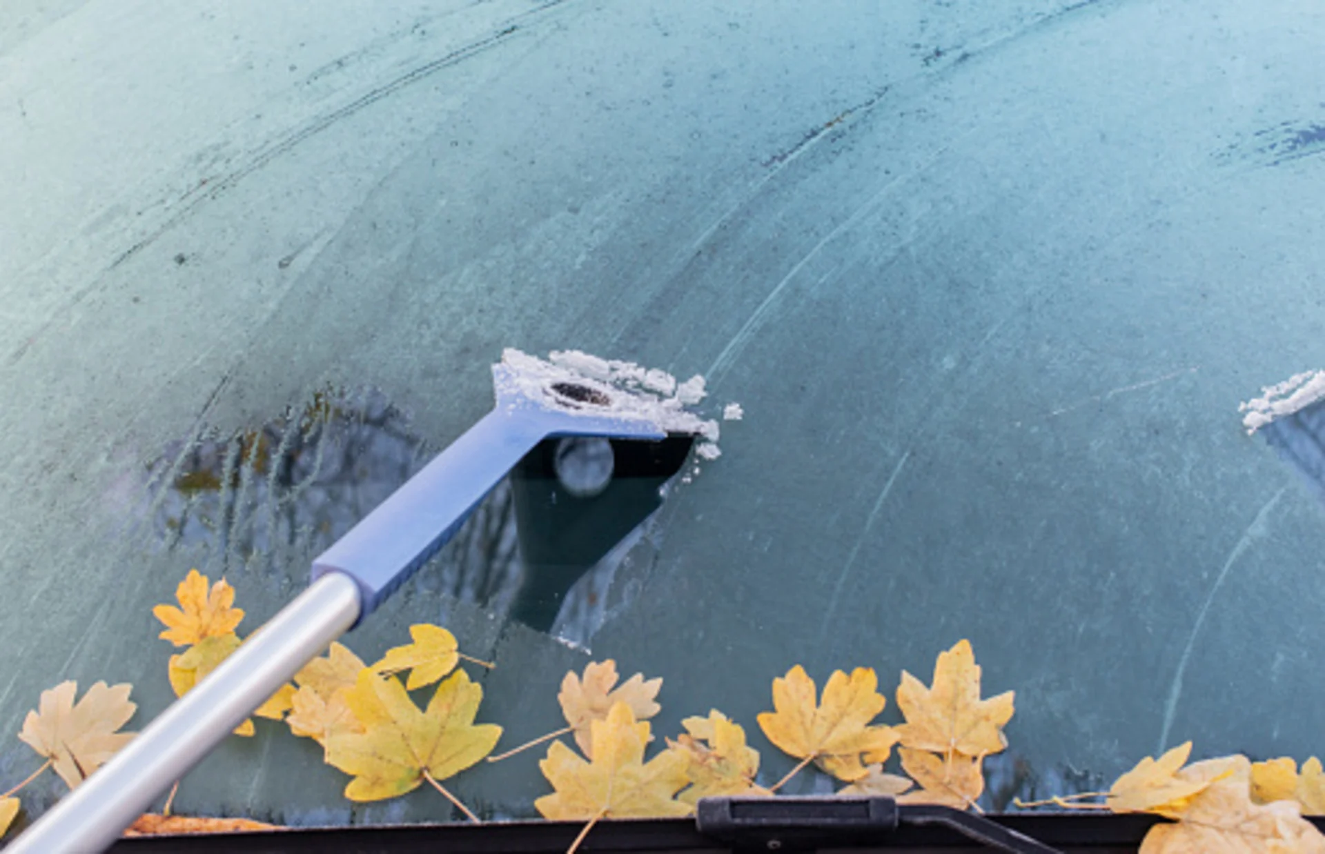 Le froid arrive pour un long séjour