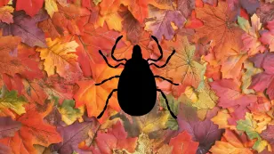 Friendly reminder: Ticks are still active in fall