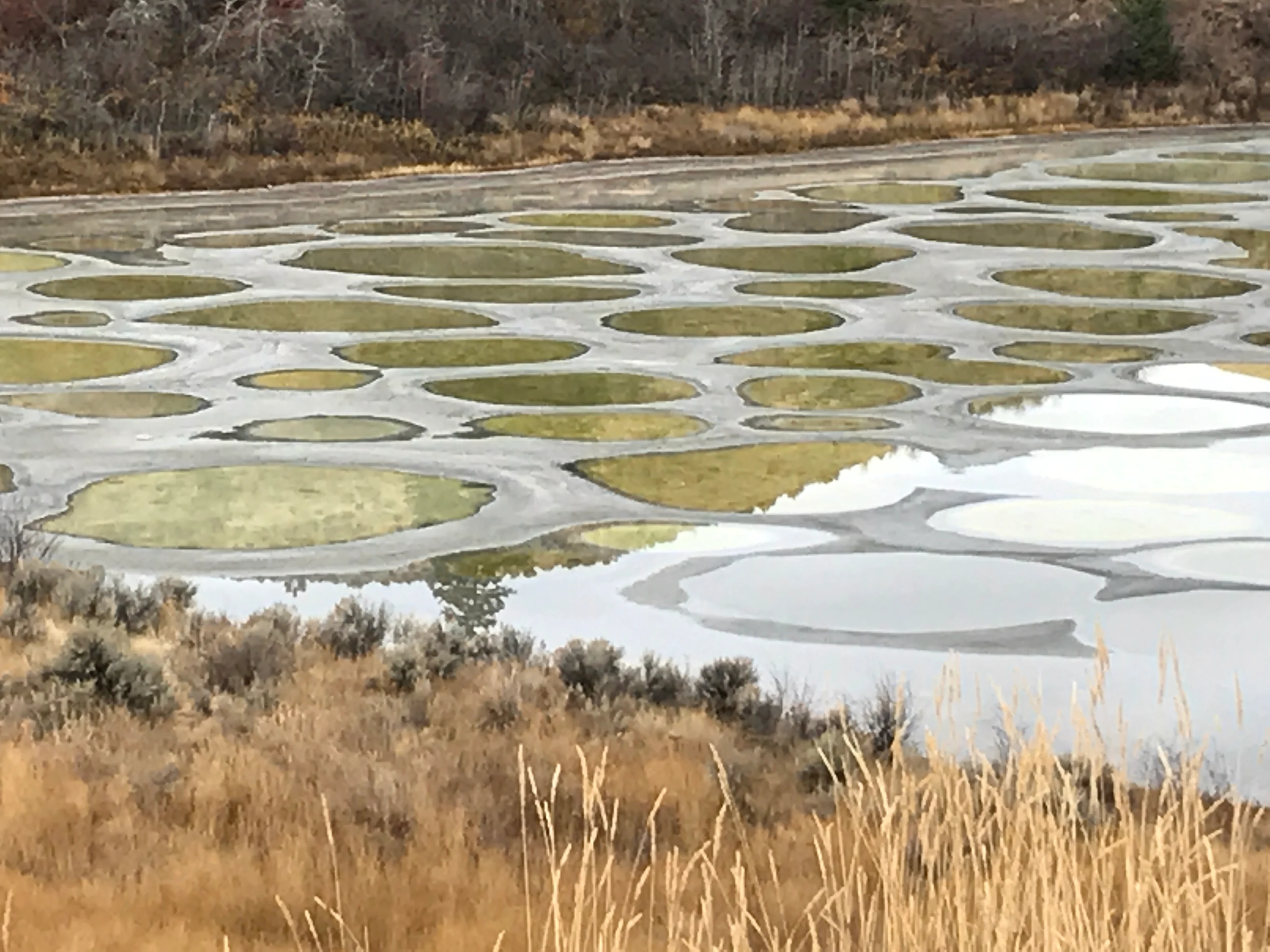 Spotted Lake Robin Carmichael