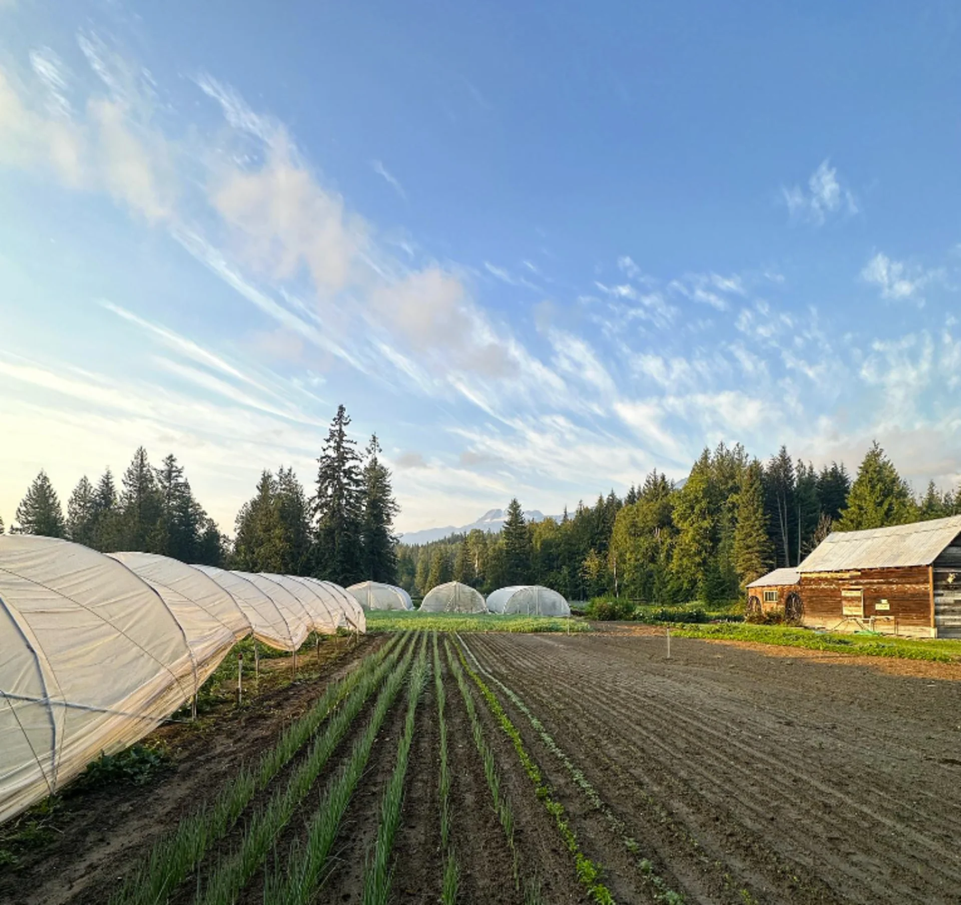 How a professional skier in Revelstoke, B.C., became inspired to be a farmer