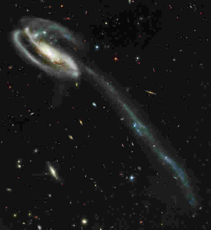 Tadpole-Galaxy-Hubble-ACS-April2002-NASA-ESA-STScI