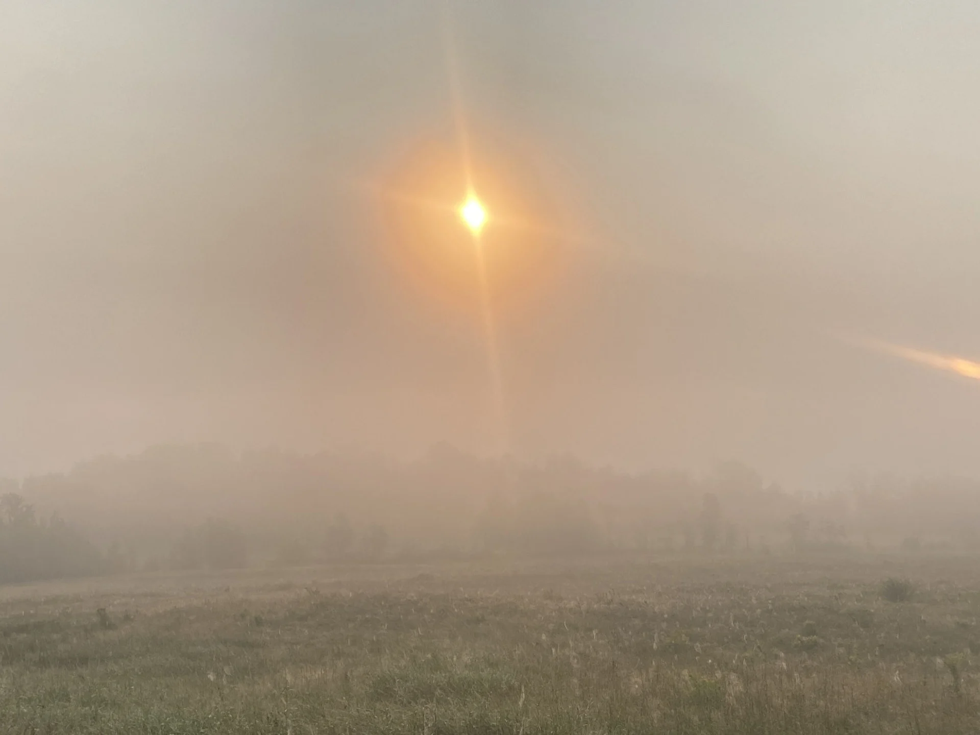 Feux de forêt dans l'Ouest canadien : la qualité de l'air affectée au Québec