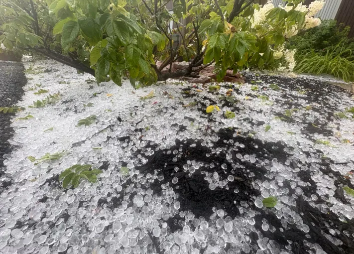 CBC: Hail fell as part of the variety of weather a summer storm brought P.E.I. (Ken Linton/CBC)