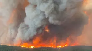 2026 wildfire season: Which parts of Canada are most at risk?