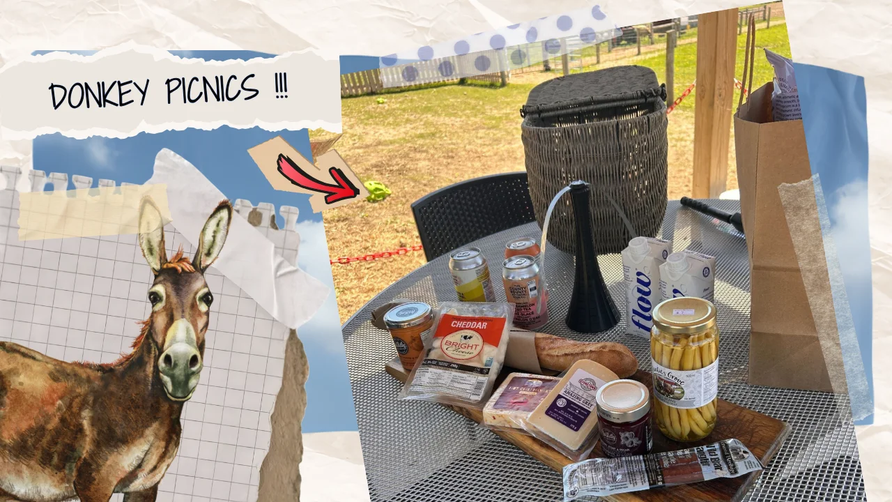 farm 5 - donkey picnic