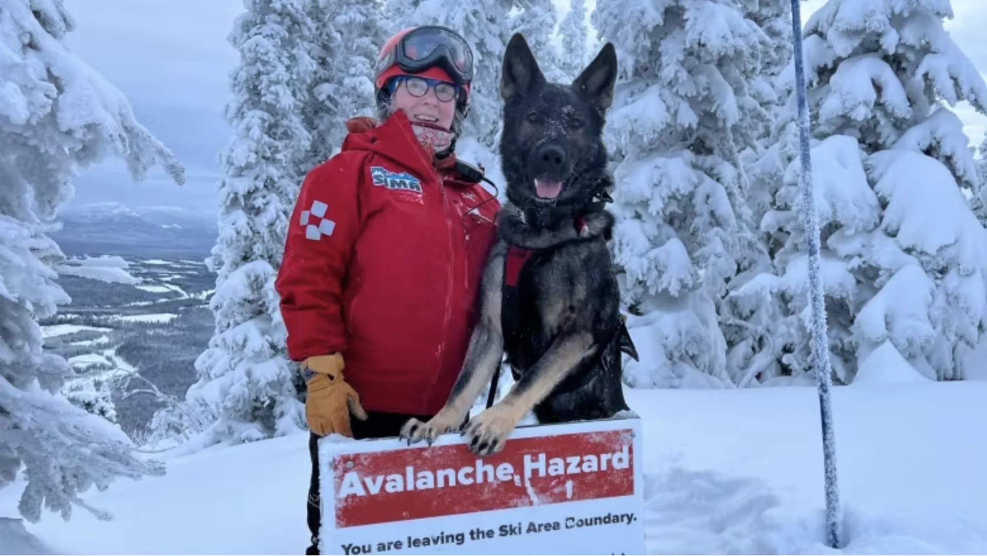 cbc: Kipper, at Whitehorse's Mount Sima ski hill, is one of 8 avalanche dogs in training registered with the Canadian Avalanche Rescue Dog Association. There are another 30 fully-qualified avalanche dogs working in Alberta and British Columbia. (Katie Todd/CBC)