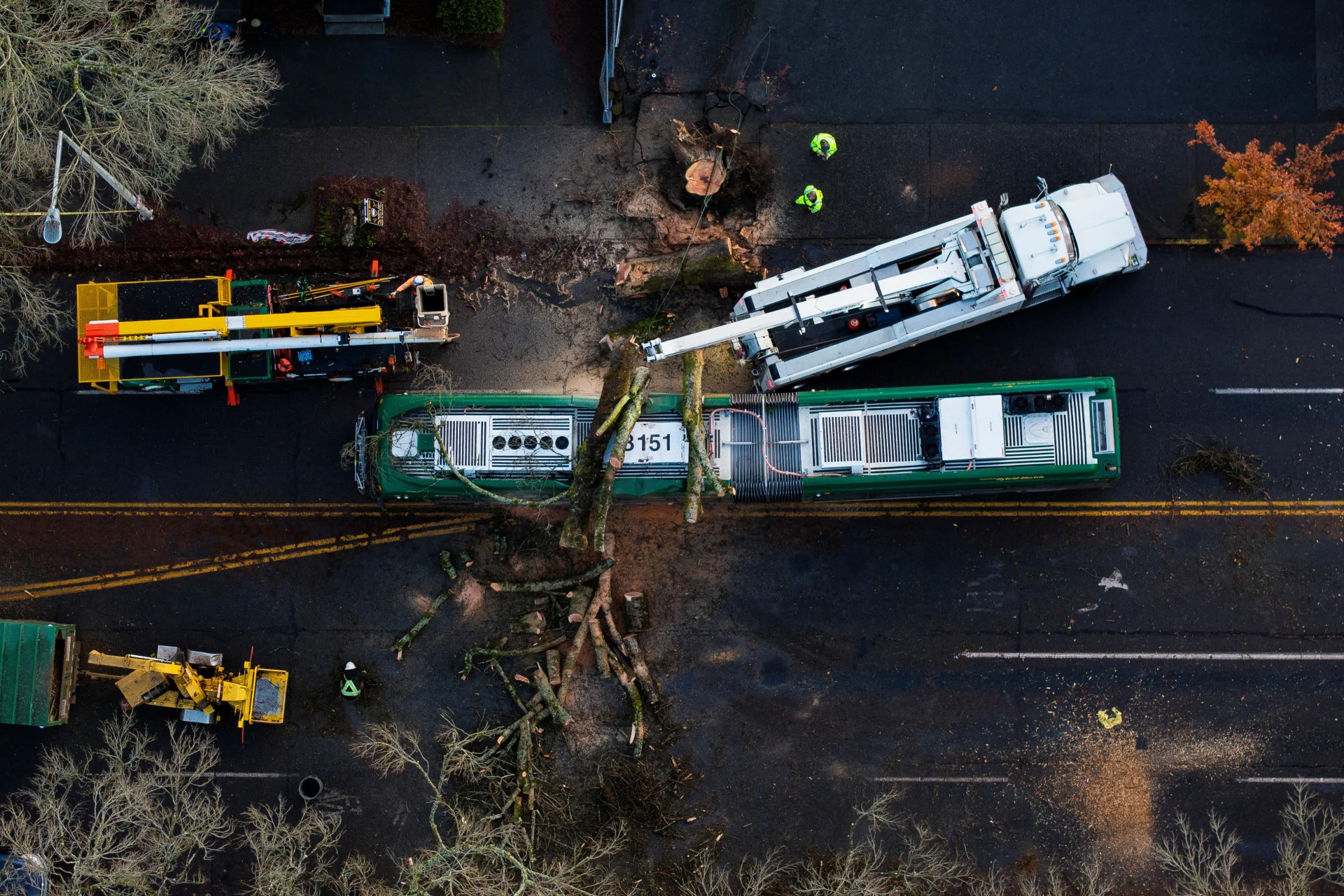 REUTERS: A drone view of crews working to remove a fallen tree from a bus after a powerful storm hit the U.S. Pacific Northwest and western Canada, causing power outages in Washington, Oregon, California, and British Columbia while wreaking havoc on road travel, in Seattle, Washington, U.S., November 20, 2024. REUTERS/David Ryder