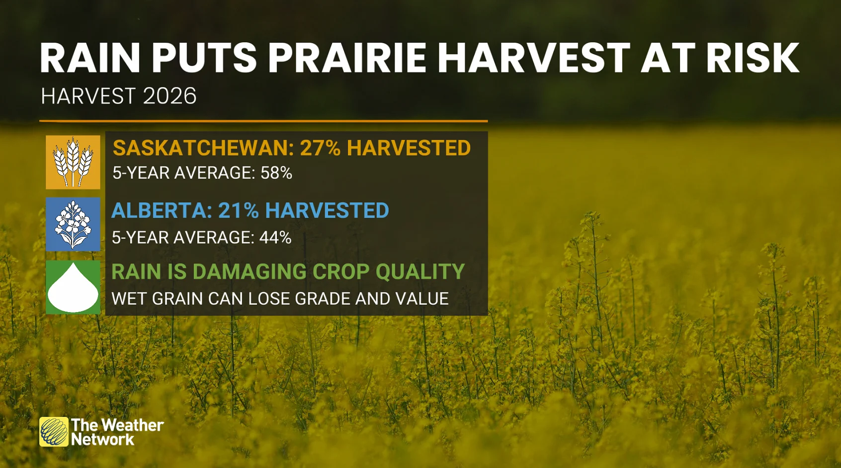 Rain puts Prairie harvest 2026 at risk