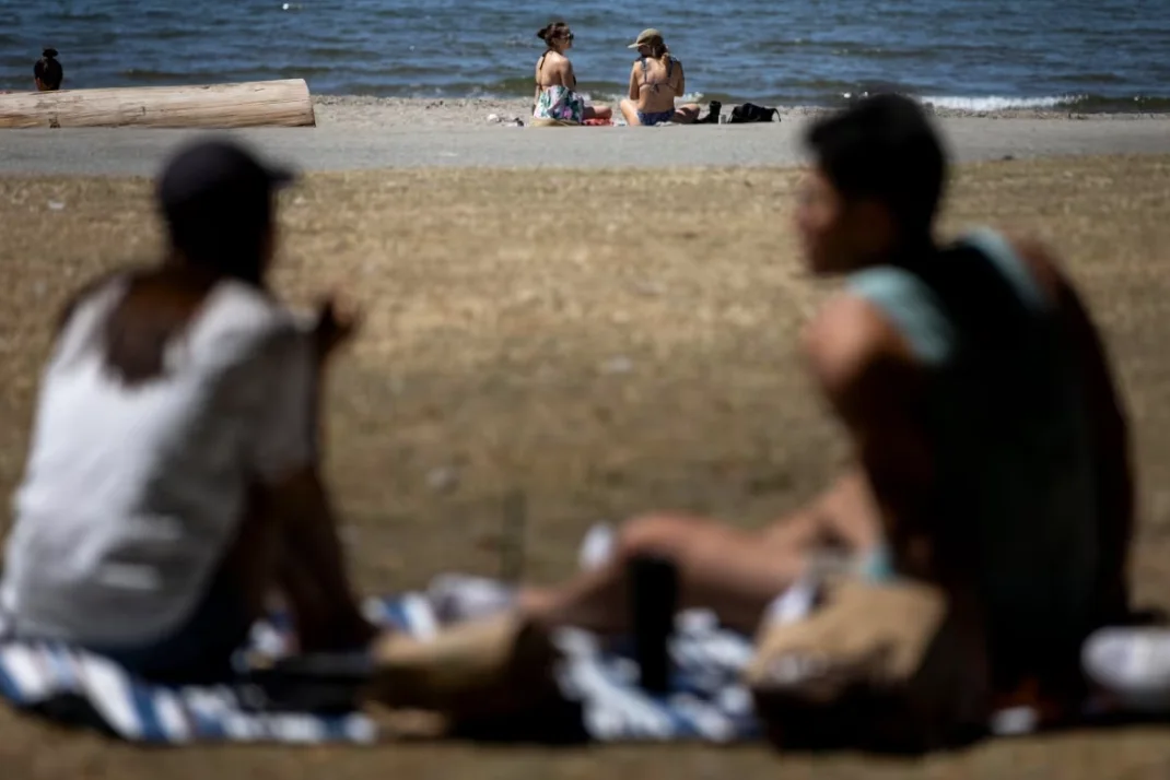 CBC: Brown grass is pictured in Vancouver's English Bay in July 2023. Municipalities are asking residents to submit photos of their brown lawns for a prize, as a way to raise awareness on water restrictions, says Dave Kidd with the City of Port Coquitlam. (Justine Boulin/CBC)