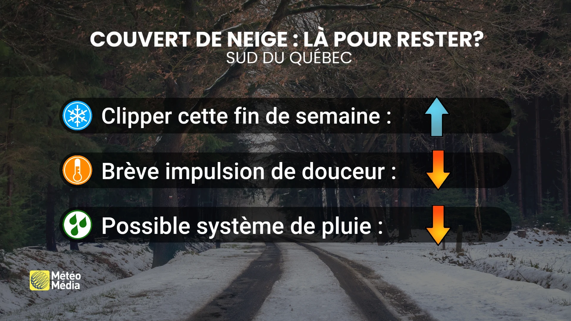 NEIGE5