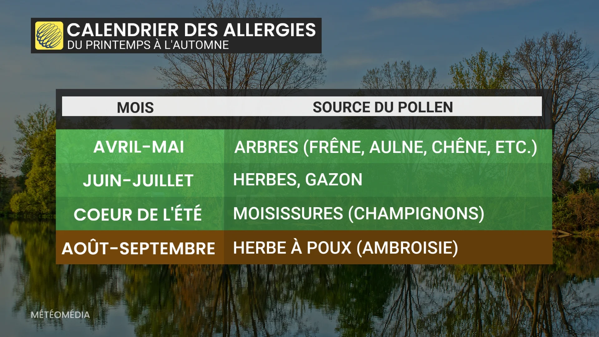 Vos allergies vous embêtent en ce moment? Voici les coupables MétéoMédia — free download