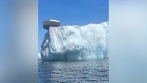 Un drôle d'objet a abouti au sommet d'un iceberg. Voyez comment.