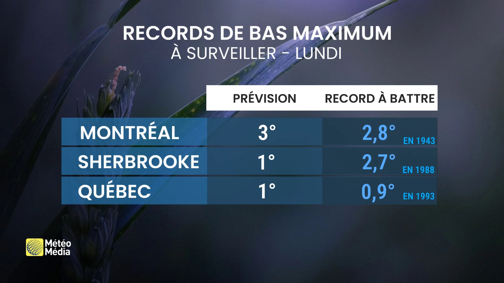 RECORD 3