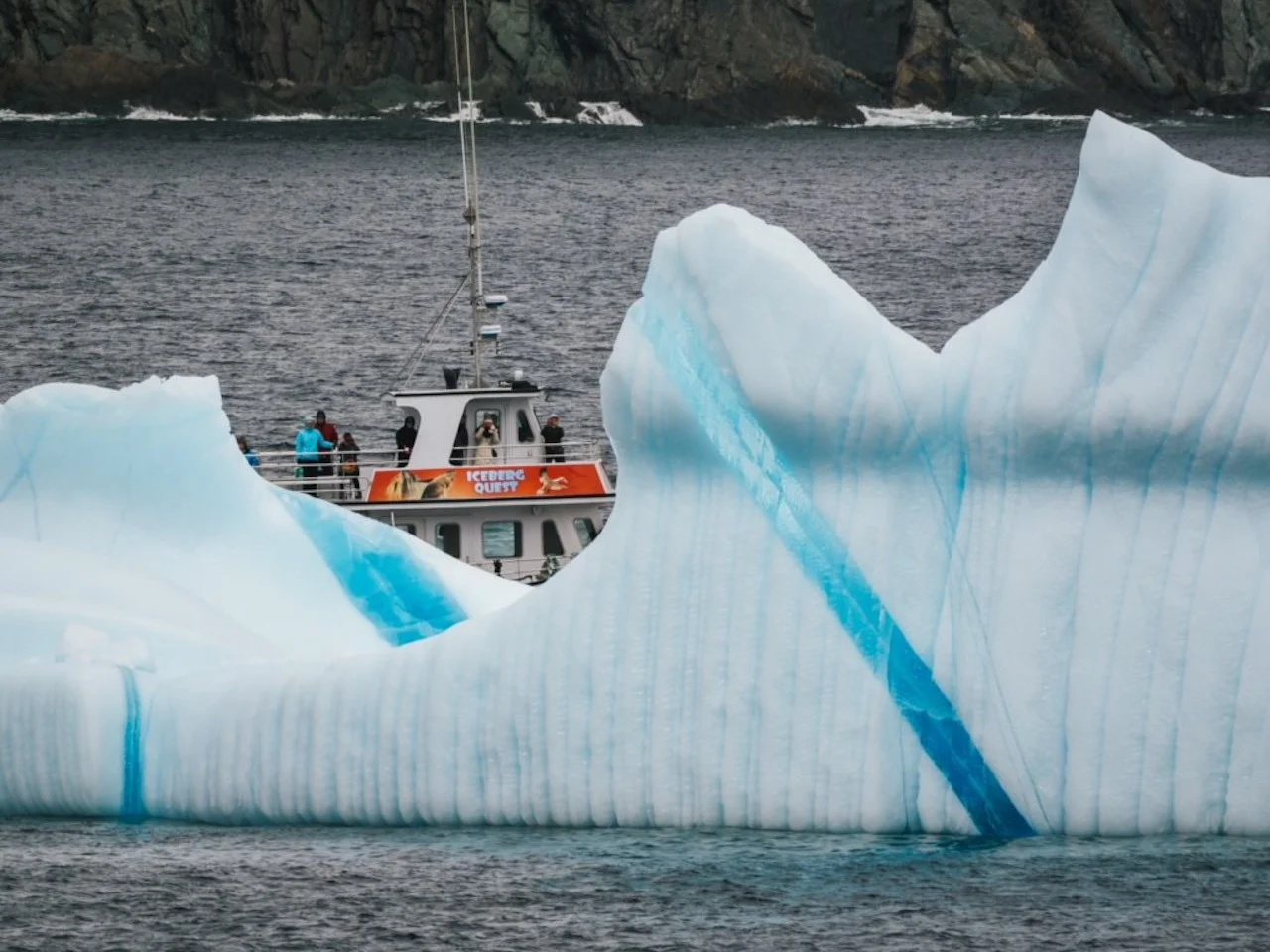 'Iceberg capital of the world' anticipating a strong, scenic season