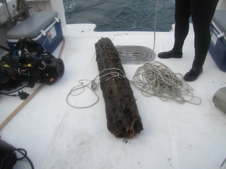 NOAA wood