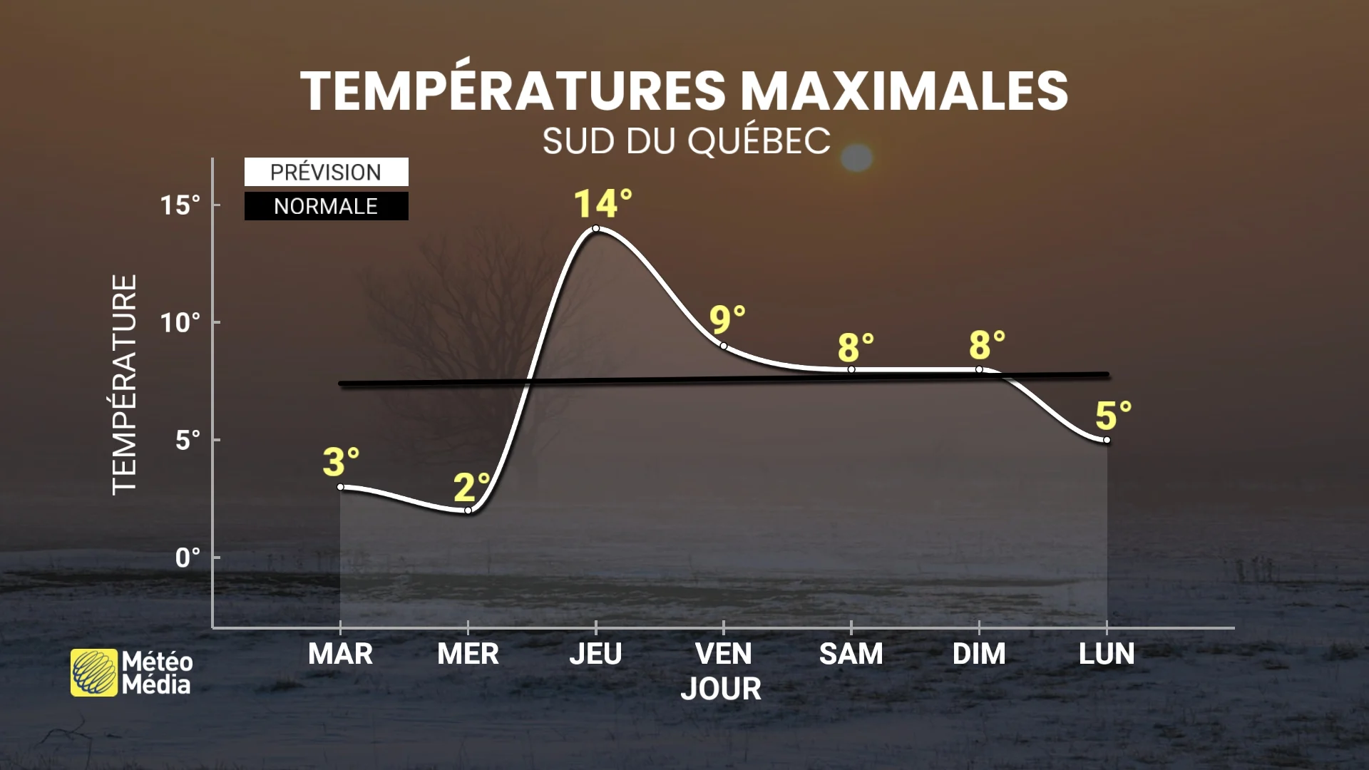 TEMPERATURE 3