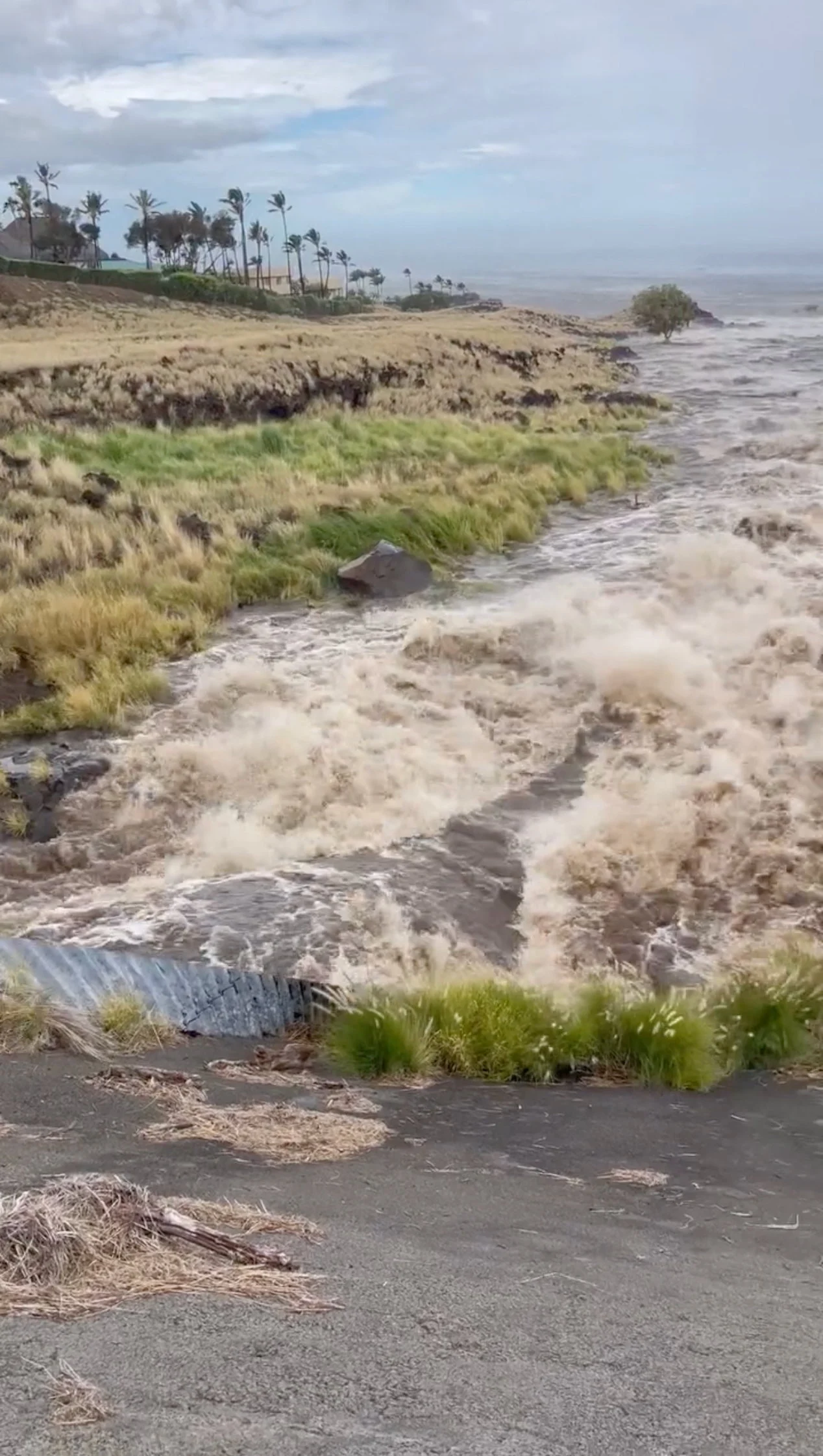 REUTERS: Flooding caused due to heavy rain brought in by Hurricane Lala in Hawaii county, Hawaii, U.S. August 15, 2026, in this screen grab obtained from a video. Hawaii Department of Transportation/Handout via REUTERS