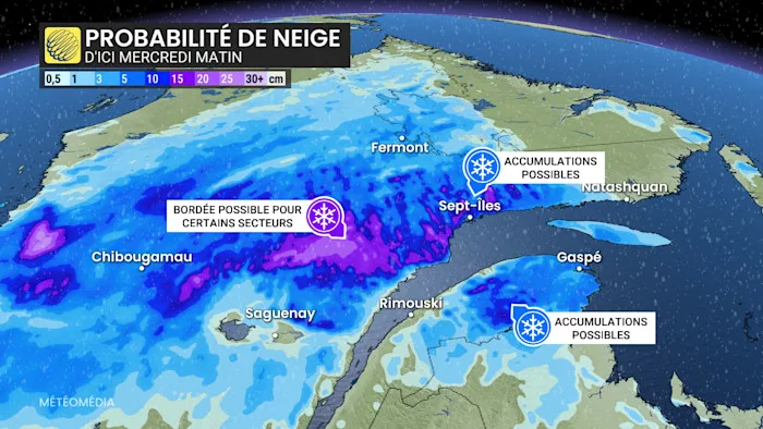 NEIGE3 (4)