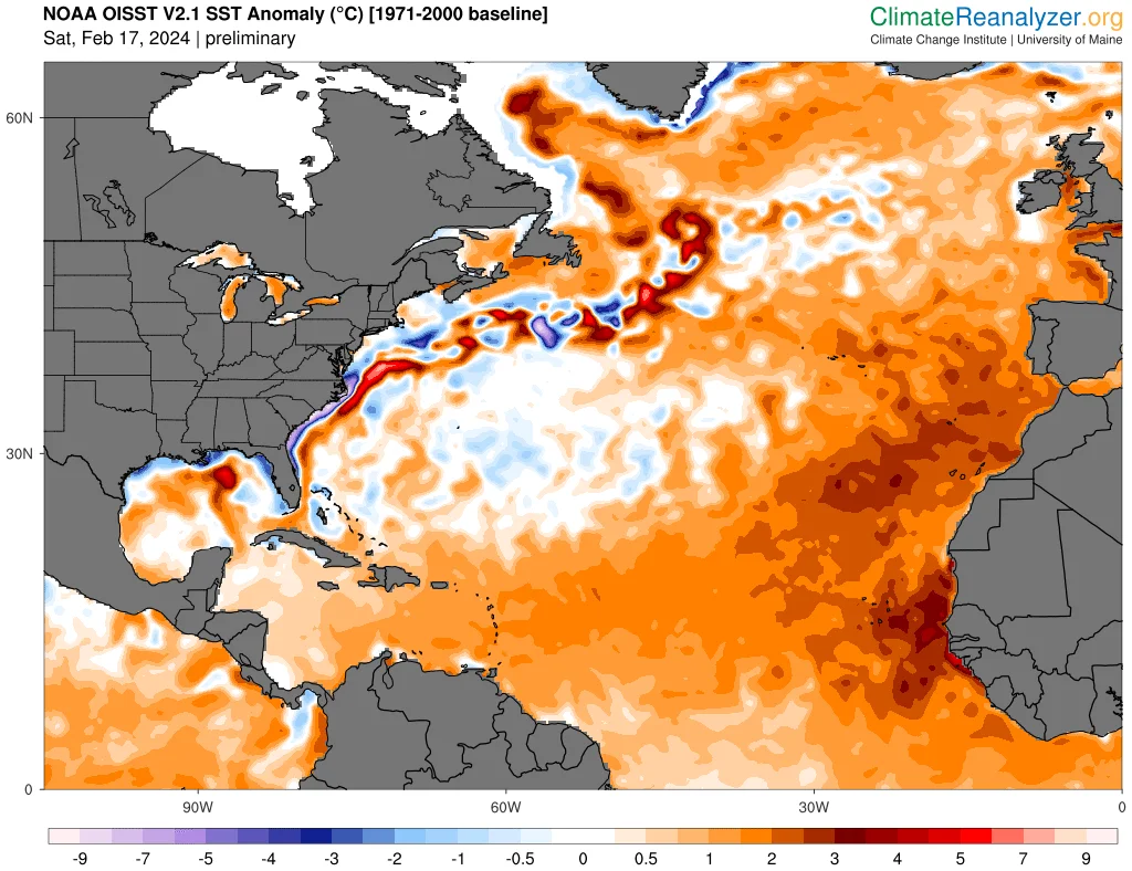 (CLIMATE REANALYZER) Atlantic sea surface temperature anomalies February 18 2024
