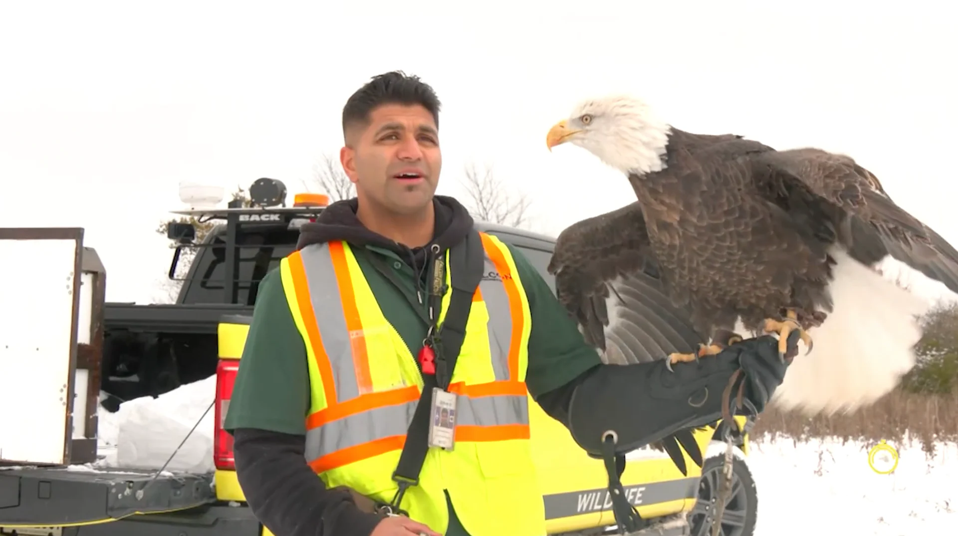 Mark Robinson: Sulaiman "Sully" Momla with eagle, Ivan at Pearson Airport