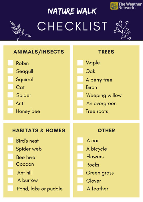 Grey and Blue Simple Leaves Checklist List (2)