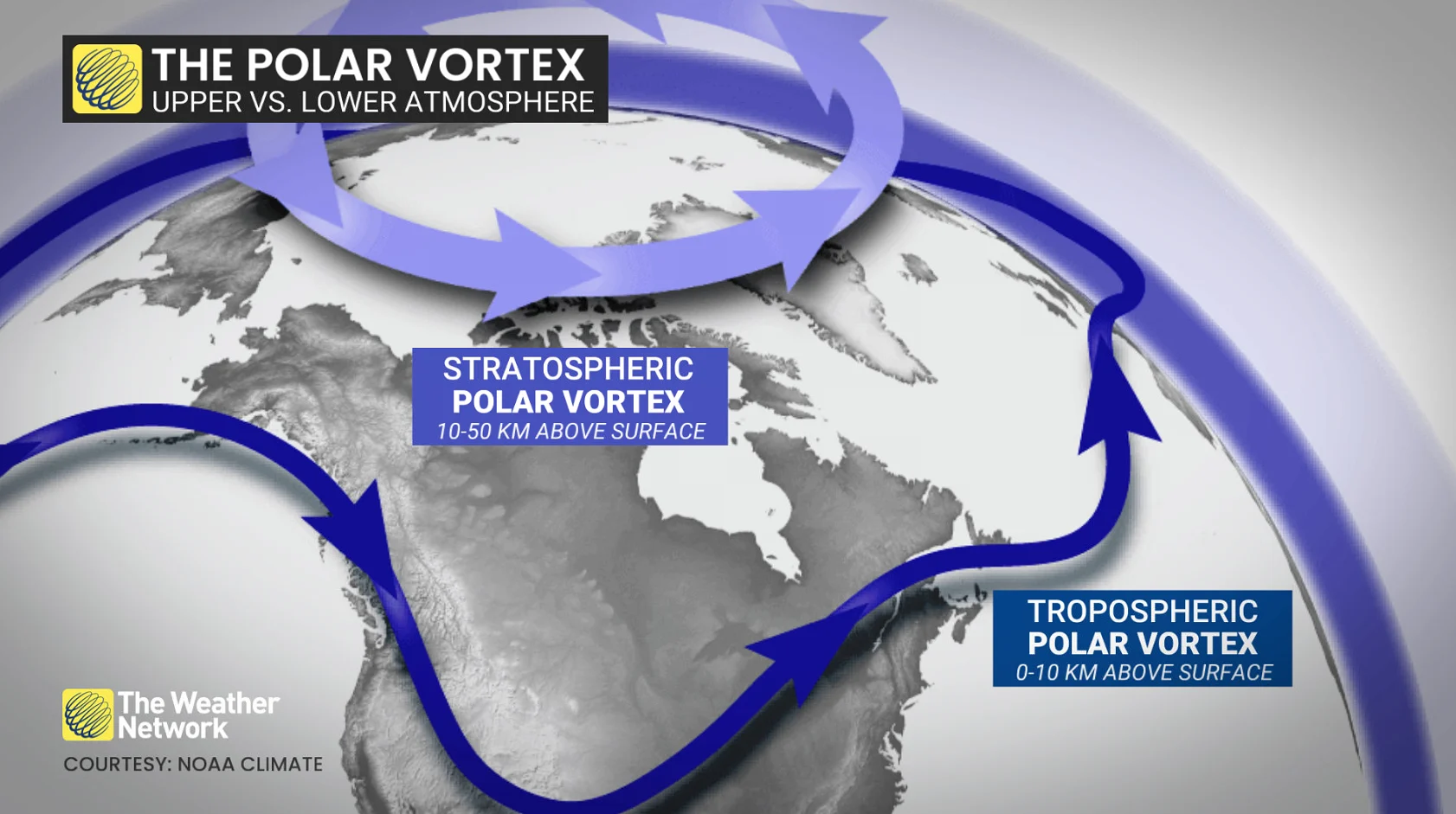 The polar vortex--upper versus lower atmosphere