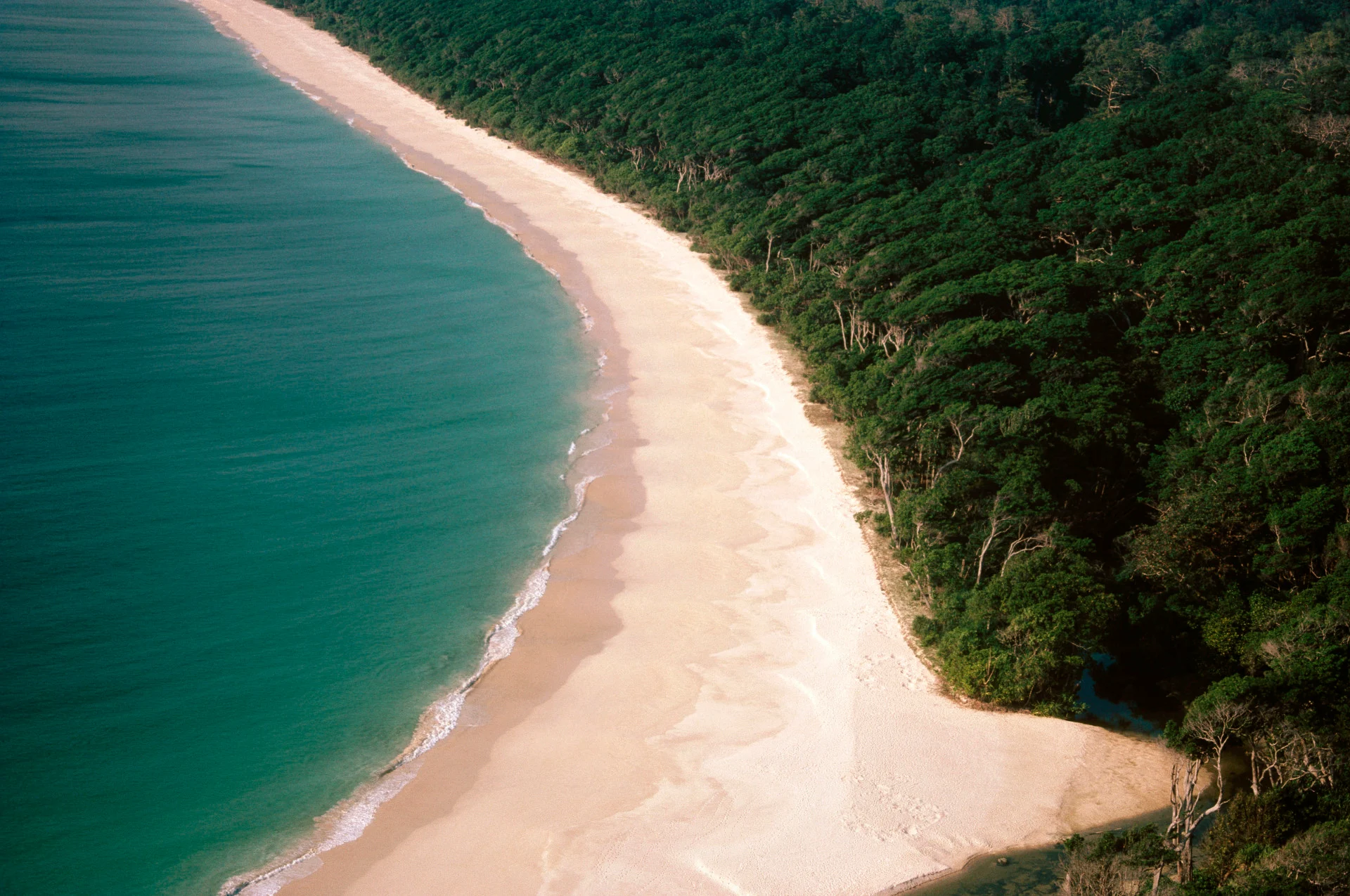 Deadly hospital superbug found on the beach of a remote tropical island