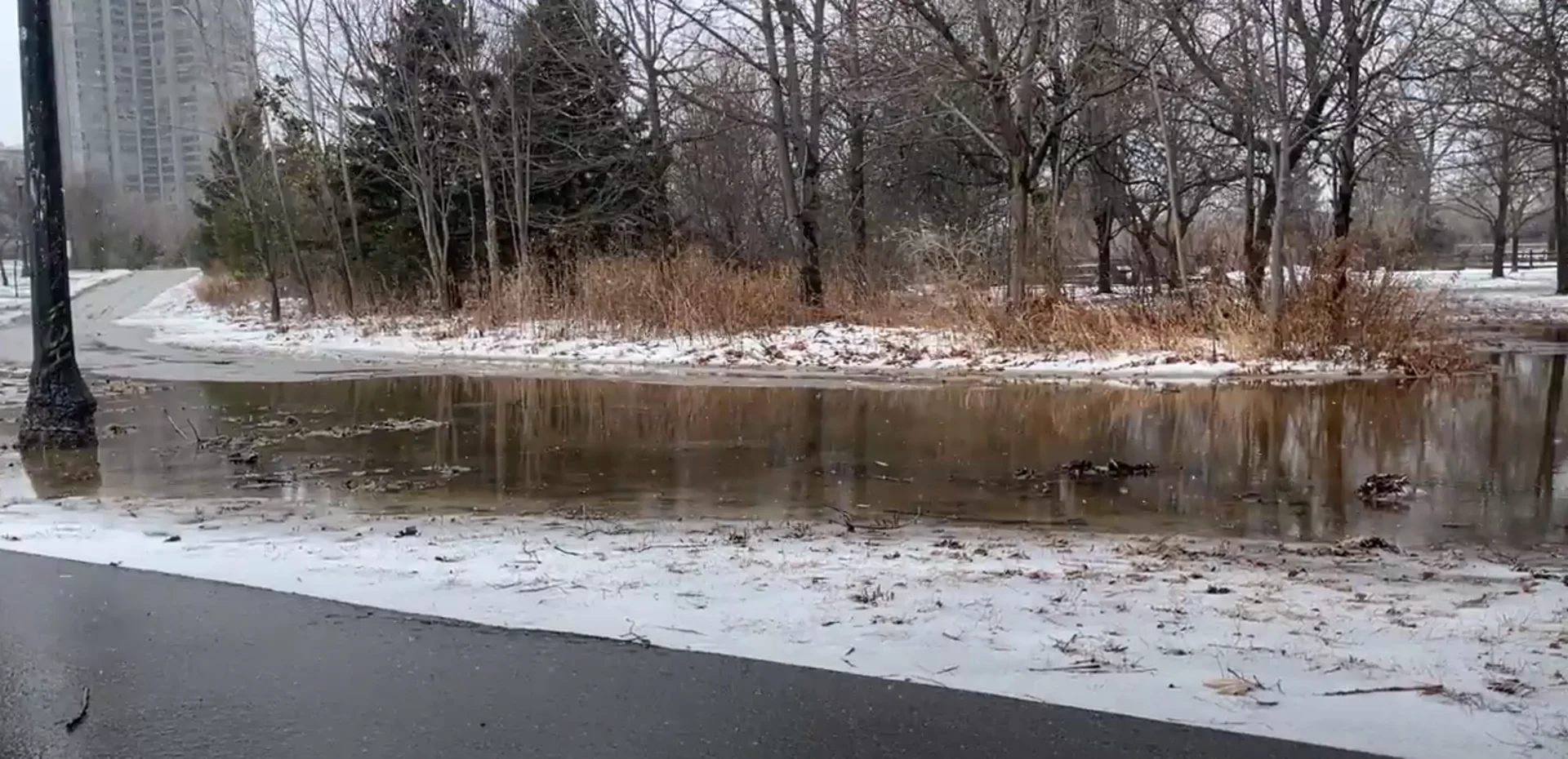 Localized flooding in a Toronto park on Dec. 29, 2025. (Tyler Hamilton/TWN)