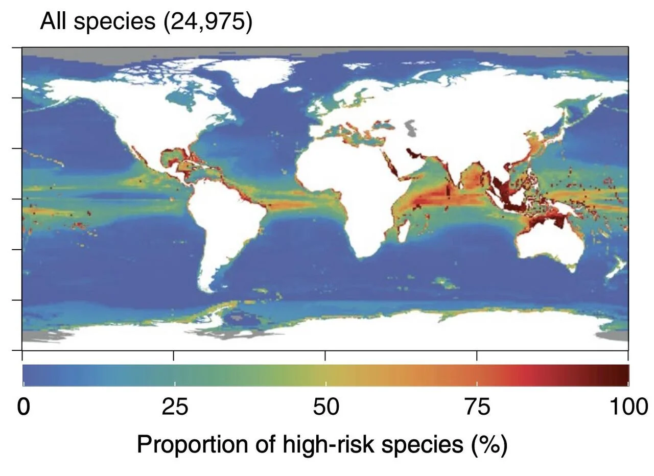 A map showing where the Dalhousie researchers think the highest risks to marine life are, if emissions don't decrease before the year 2100, according to the Nature Climate Change article titled 'A climate risk index for marine life,' by D. Boyce, et al. (Nature Climate Change)